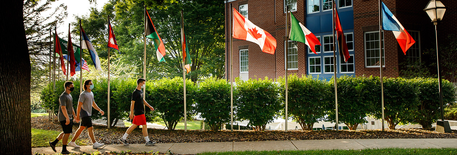 Reeves Library Flags