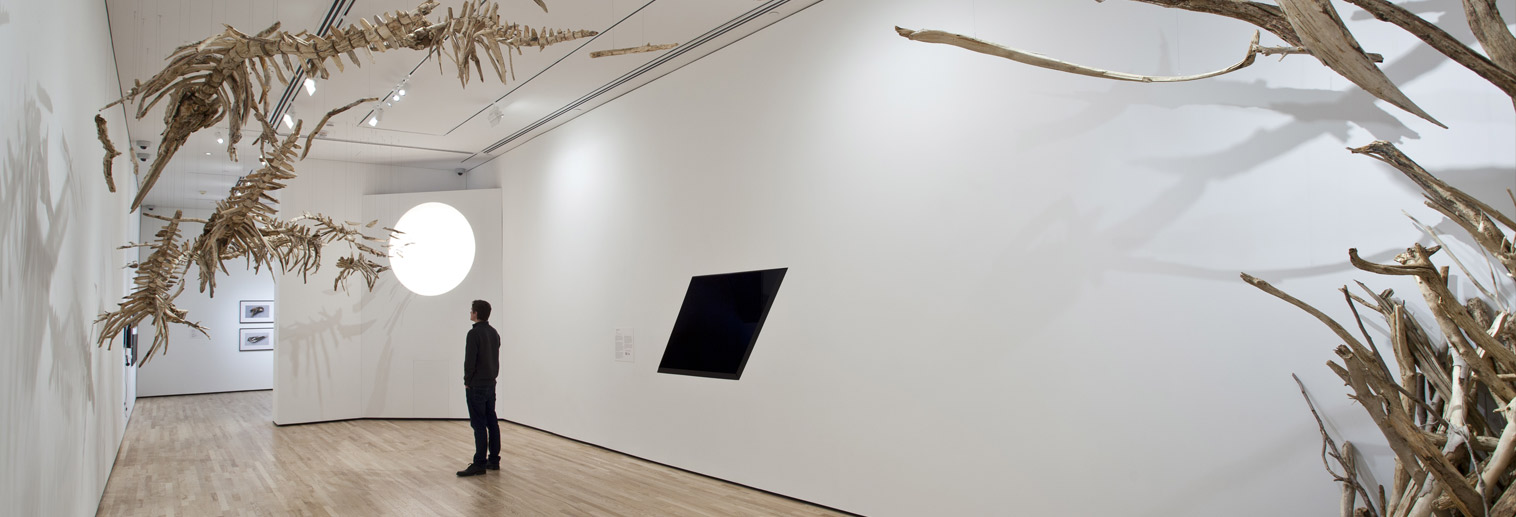 Jonathan Latiano, "Flight of the Baiji," 2014, Driftwood, bleach, plexiglass, halogen light and steel, 14 ft. x 17 ft. x 50 ft.