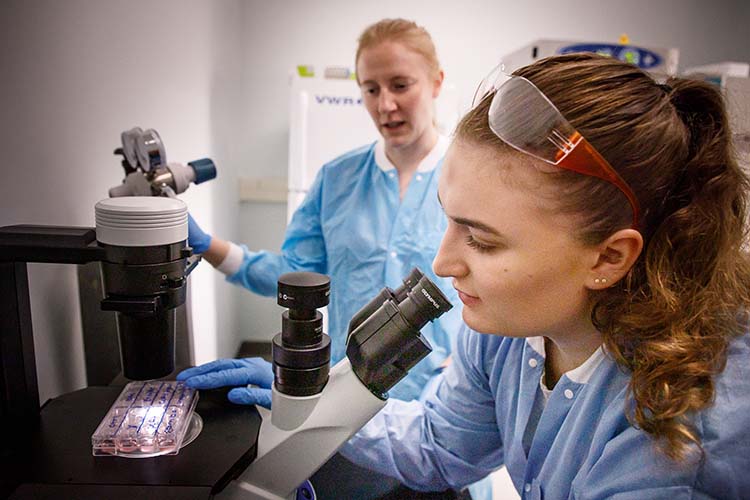 Kara Mosovsky, assistant professor of biology, supervises a student's research in the lab.