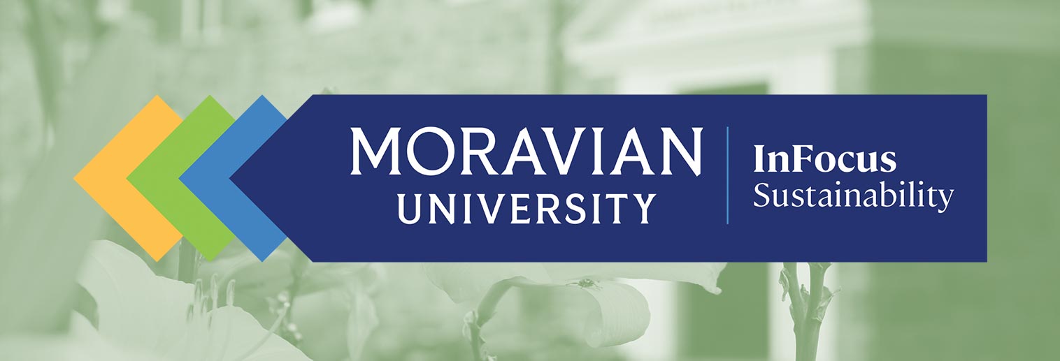 InFocus: Sustainability