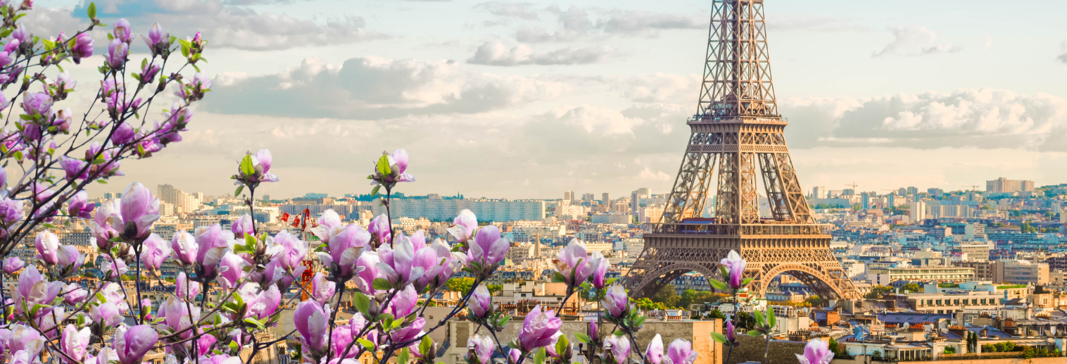 Panoramic view of Paris' Eiffel Tower and cherry blossoms