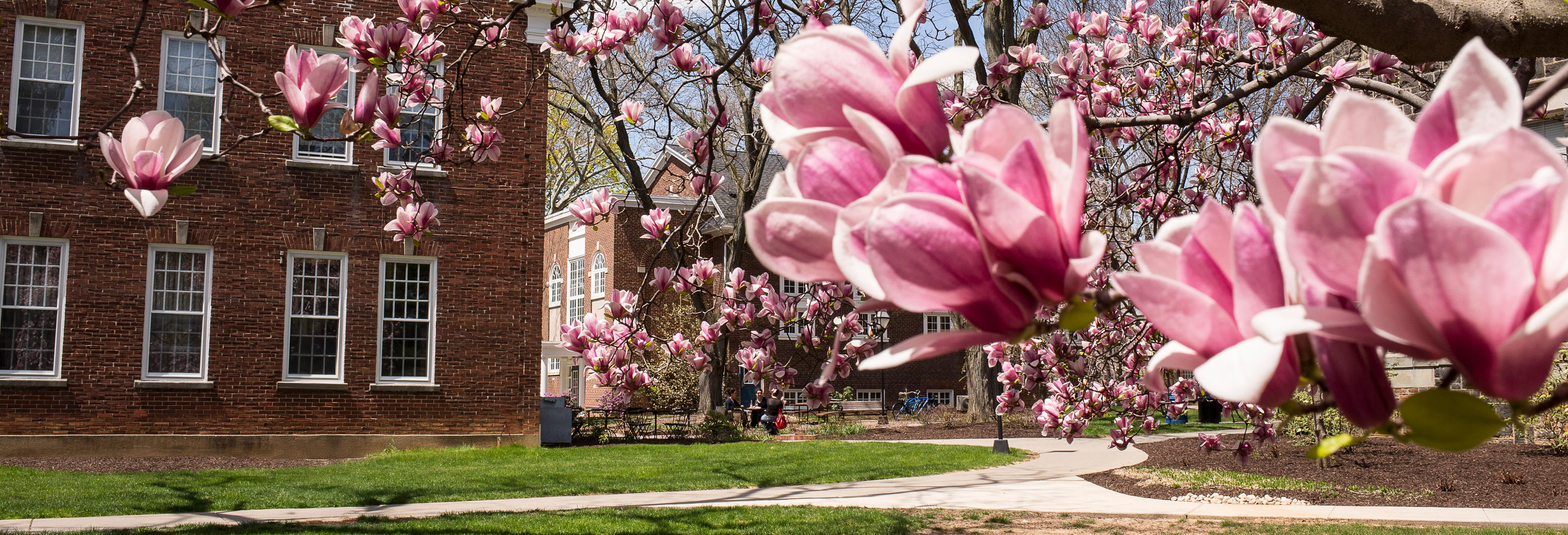 Memorial Hall in spring
