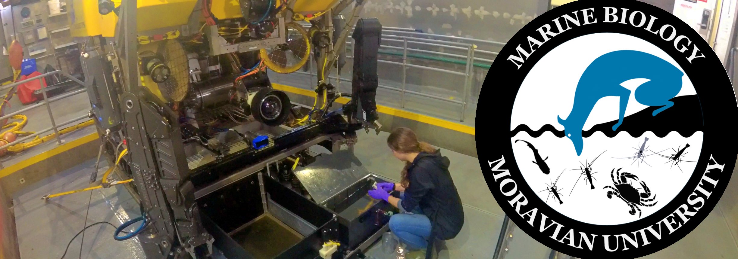 student working on a ship