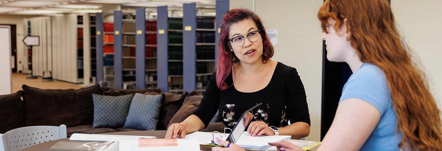 Professor working with student