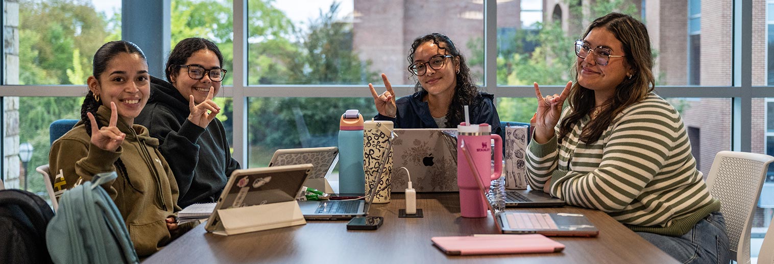 Study group in the HUB