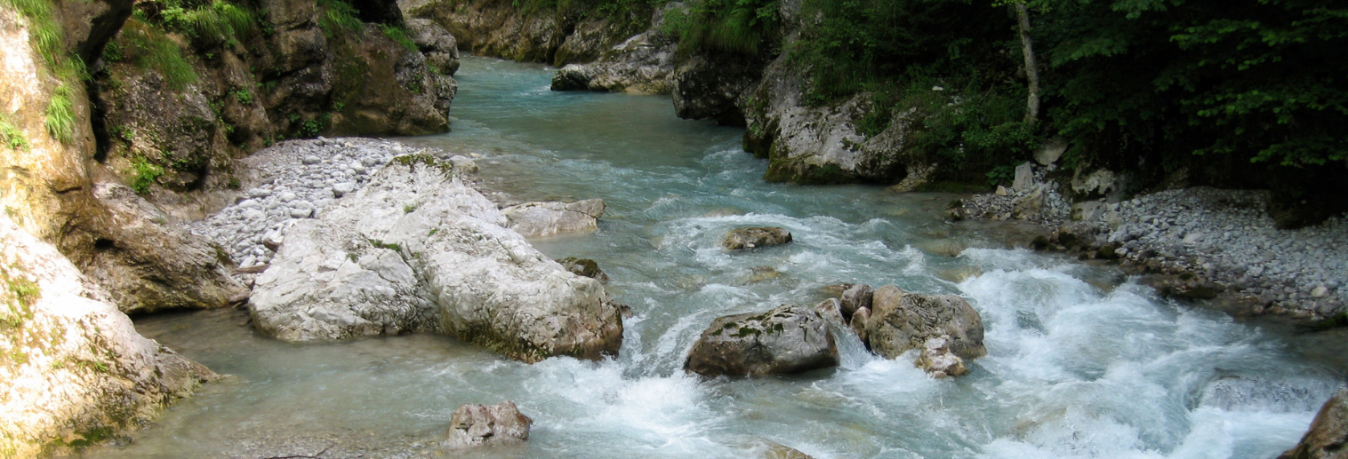 River in forest Slovenia
