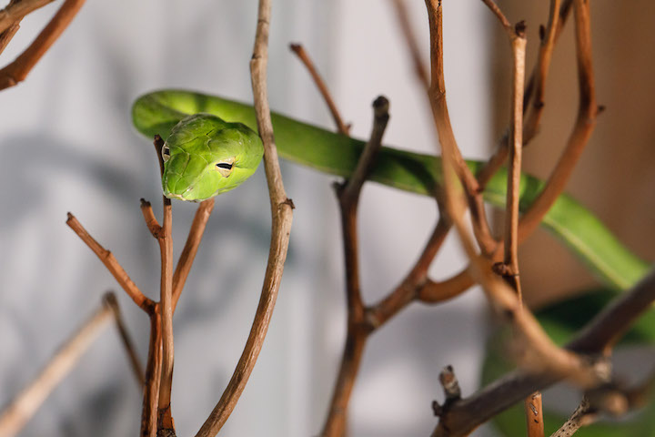 Adam Campbell inset2.jpg