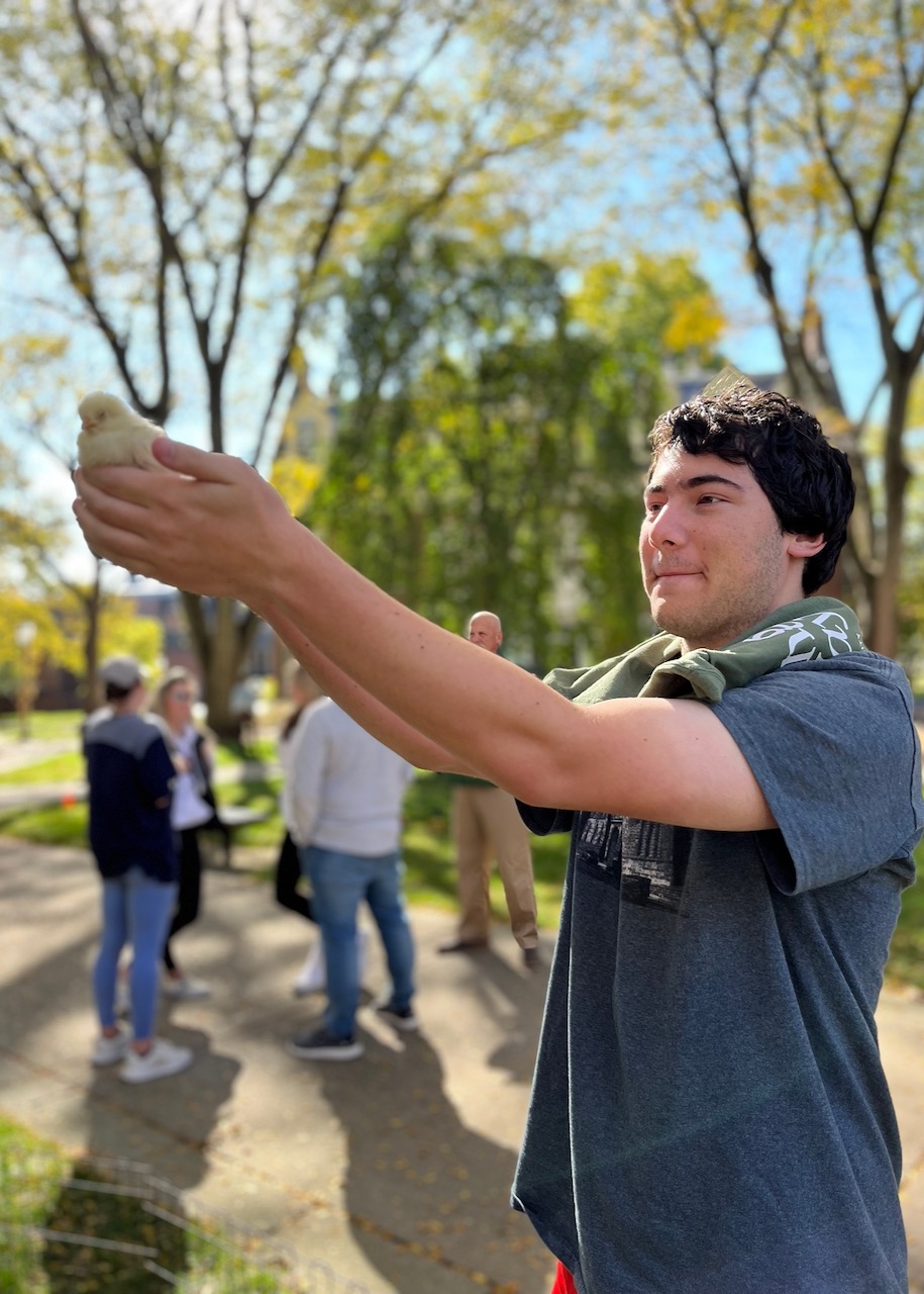 Joel Hendricks Headshot