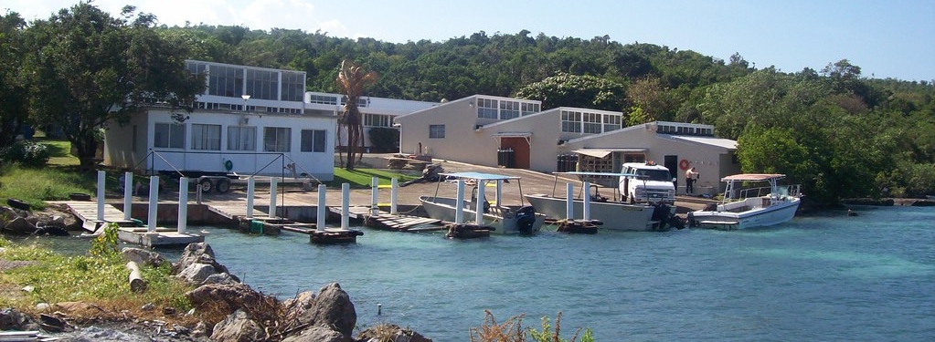Discovery Bay Marine Lab