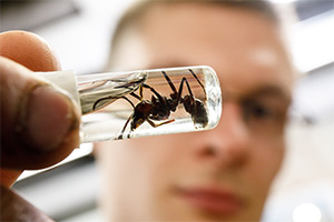 Kyle holding a bug in a jar