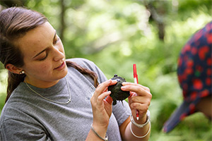 Maria examines a painted turtle.