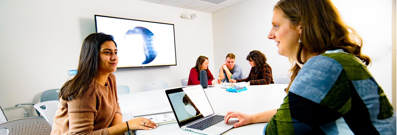 Top speech pathology graduate programs picture