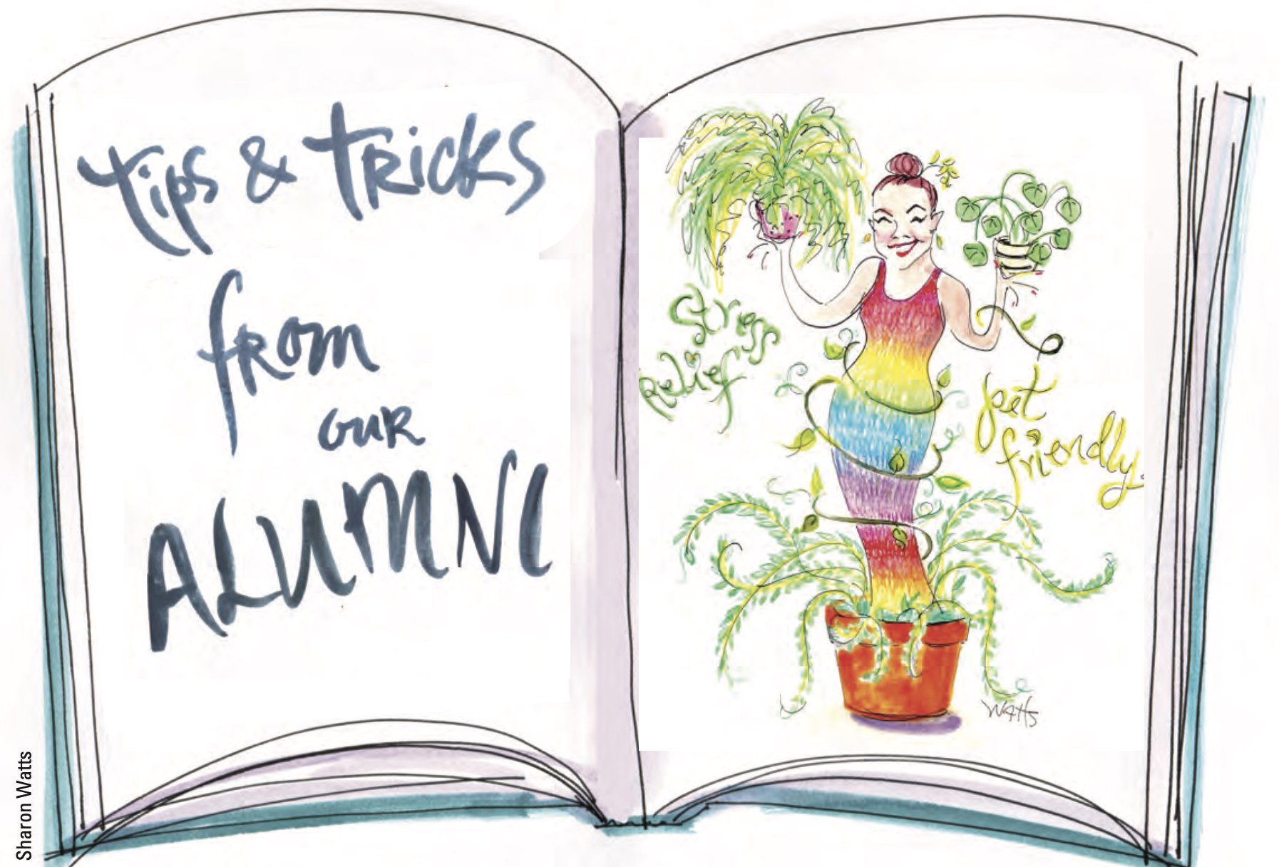 hound_advice_summer_23