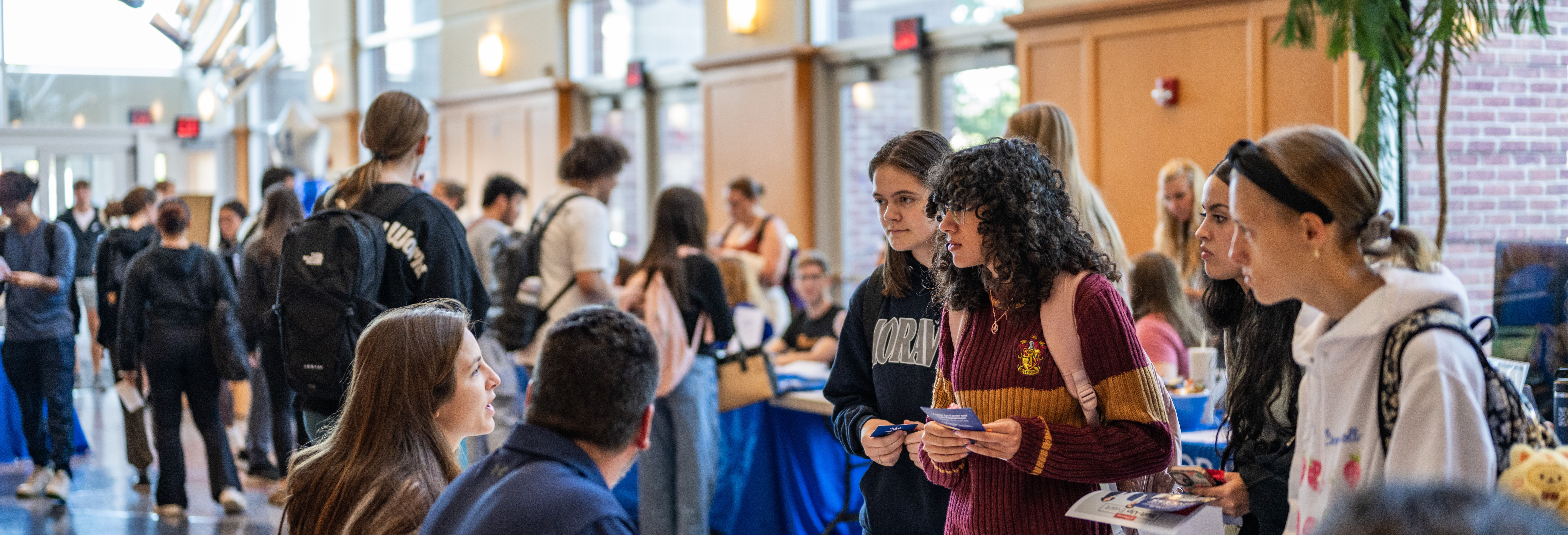 Greyhound Business Directory