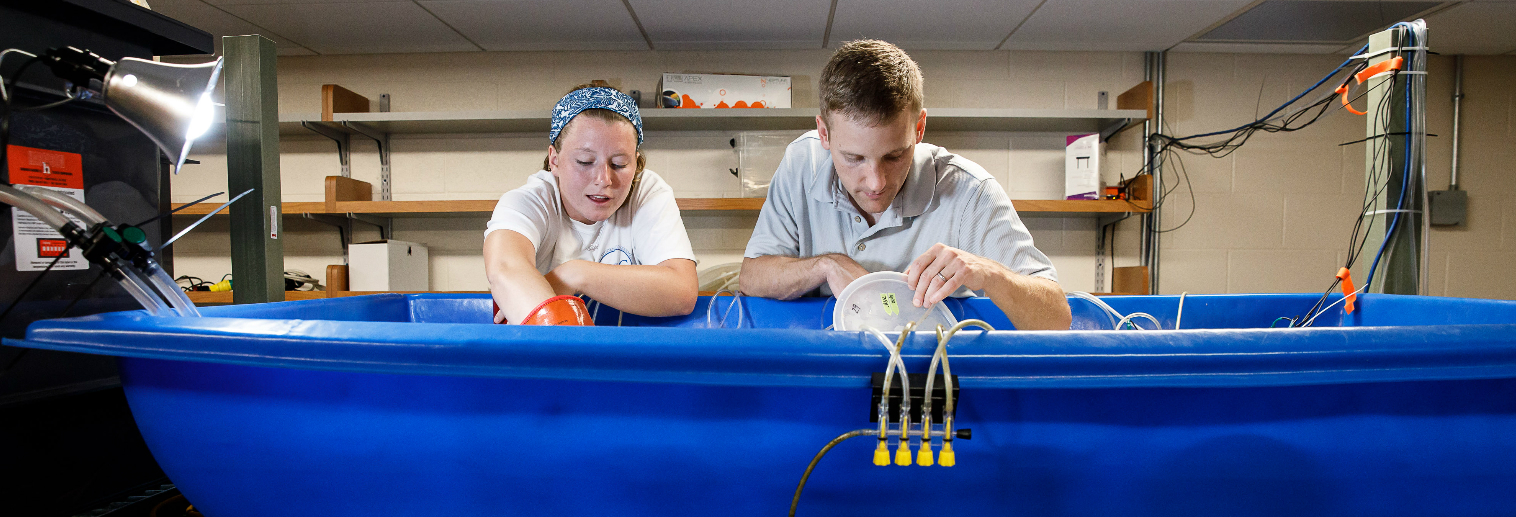 SOAR 2018 Katie Boyle ’19