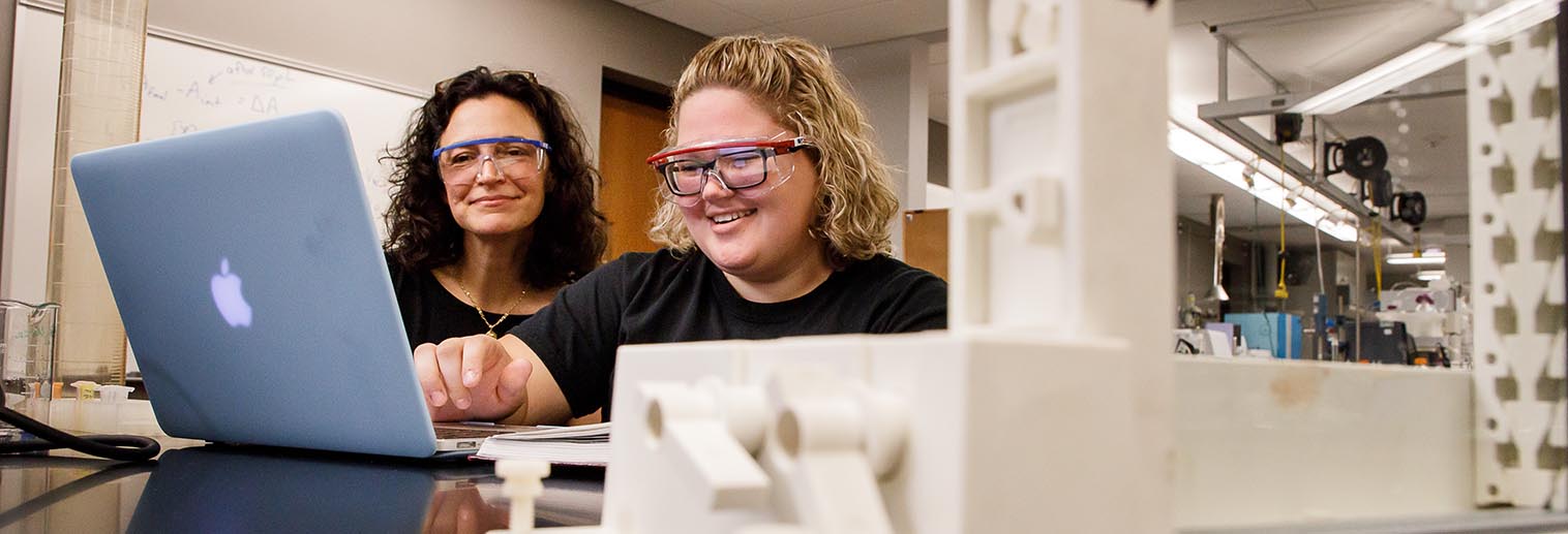 Professor and student working on laptop