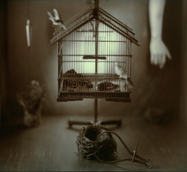 Whimsical Alchemy #11