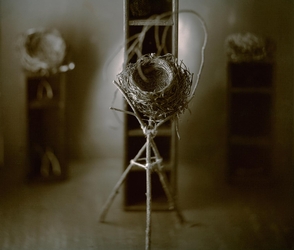 Whimsical Alchemy #15