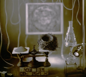 Whimsical Alchemy #24