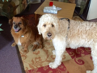 Sigmund “Freud” and Jackson Williams