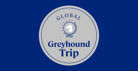 Global Greyhound Trip