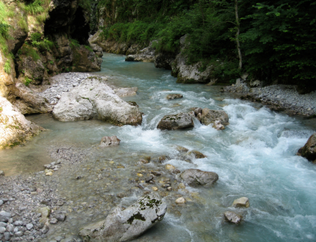 River in forest Slovenia